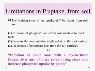 Phosphorus uptake by Ectomycorrhiza and Endomycorhhiza.pptx