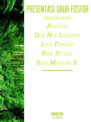 Daur Fosfor || Phosporus Cycle