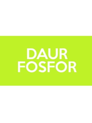 Daur Fosfor || Phosporus Cycle