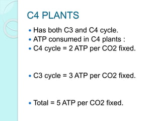 WHY C4 PLANTS ARE MORE
EFFICIENT?
Thus the productivity and yields are
better in C4 plants compared to C3
plants.
In addit...
