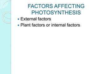 Photosynthesis in plants.pptx