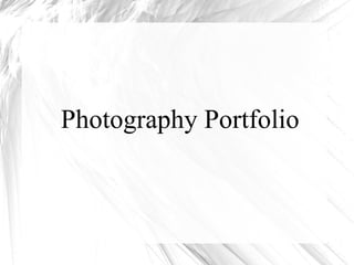 Photography Portfolio
 