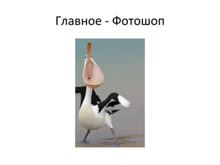 Главное - Фотошоп 