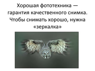 Хорошая фототехника — гарантия качественного снимка.  Ч тобы снимать хорошо, нужна «зеркалка» 