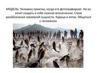 МОДЕЛЬ: Человеку приятно, когда его фотографируют. Но он хочет создать о себе нужное впечатление. Страх разоблачения греховной сущности. Курица и петух. Общаться с человеком  