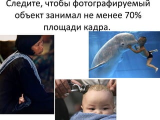 Следите, чтобы фотографируемый объект занимал не менее 70% площади кадра.  
