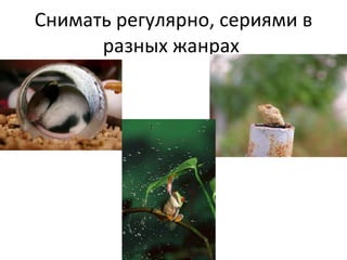 Снимать регулярно, сериями в разных жанрах  