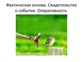 Фактическая основа. Свидетельство о событии. Оперативность  