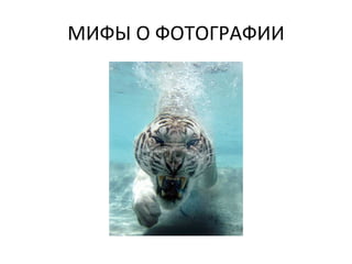 МИФЫ О ФОТОГРАФИИ 