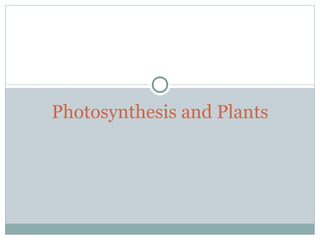 Photosynthesis and Plants 