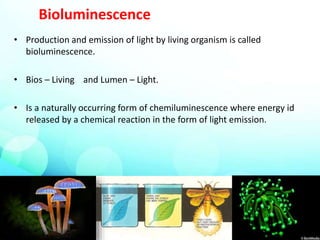Bioluminescence
• Production and emission of light by living organism is called
bioluminescence.
• Bios – Living and Lumen – Light.
• Is a naturally occurring form of chemiluminescence where energy id
released by a chemical reaction in the form of light emission.
 