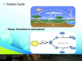 • Carbon Cycle
• Ozone formation in atmosphere
 