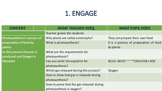 Oxygen Is Released During Photosynthesis