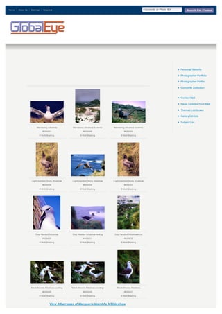 Home

About Us

Sitemap

Keywords or Photo ID#

Helpdesk

HOME

PHOTO BUYERS

PHOTOGRAPHERS

Search For Photos

MEMBERS

BLOG

Personal Website
Photographer Portfolio
Photographer Profile
Complete Collection

Contact Matt
News Updates From Matt
Themed Lightboxes
Gallery Exhibits
Subject List
Wandering Albatross

Wandering Albatross Juvenile

Wandering Albatross Juvenile

#659261

#659266

#659265

© Matt Brading

© Matt Brading

© Matt Brading

Light-mantled Sooty Albatross

Light-mantled Sooty Albatross

Light-mantled Sooty Albatross

#659256

#659259

#659253

© Matt Brading

© Matt Brading

© Matt Brading

Grey Headed Albatross

Grey Headed Albatross nesting

Grey Headed Albatrosses on

#659250

#659251

#659252

© Matt Brading

© Matt Brading

© Matt Brading

Blac k Browed Albatross courting

Black Browed Albatross courting

Black Browed Albatross

#659246

#659245

#659247

© Matt Brading

© Matt Brading

© Matt Brading

View Albatrosses of Macquarie Island As A Slideshow

 
