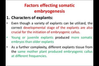 Somatic Embryogenesis 