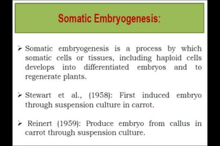 Somatic Embryogenesis 