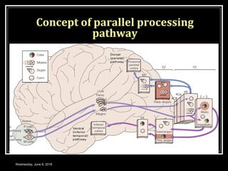 PHOTOCHEMISTRY OF VISION | PPT