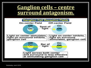 Ganglion cells – centre
surround antagonism.
Wednesday, June 8, 2016
 
