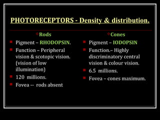 PHOTORECEPTORS - Density & distribution.
Rods
 Pigment – RHODOPSIN.
 Function – Peripheral
vision & scotopic vision.
(v...