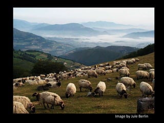 Image by Jule Berlin
 