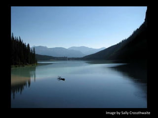 Image by Sally Crossthwaite
 