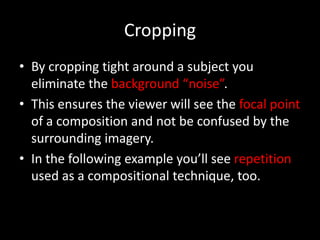 Cropping
• By cropping tight around a subject you
  eliminate the background “noise”.
• This ensures the viewer will see the focal point
  of a composition and not be confused by the
  surrounding imagery.
• In the following example you’ll see repetition
  used as a compositional technique, too.
 
