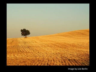 Image by Jule Berlin
 