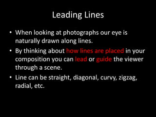 Leading Lines
• When looking at photographs our eye is
  naturally drawn along lines.
• By thinking about how lines are placed in your
  composition you can lead or guide the viewer
  through a scene.
• Line can be straight, diagonal, curvy, zigzag,
  radial, etc.
 