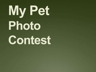 My Pet
Photo
Contest
 