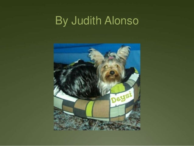 My Pet Photo Contest