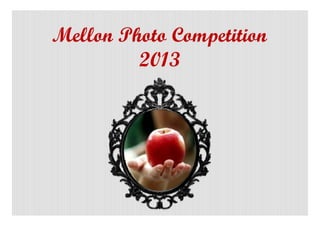 Mellon Photo Competition
         2013
 