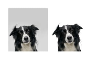 Photo editing services