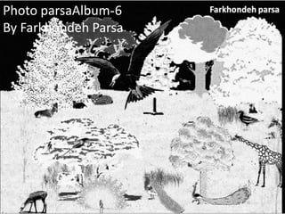 6-Photo parsaAlbumBy Farkhondeh Parsa 