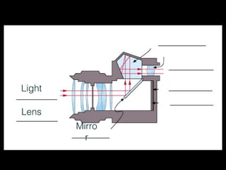 Light

Lens
        Mirro
          r
 