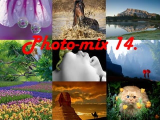 Photo-mix 14.

 