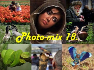 Photo-mix 18. 