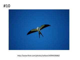#10




      http://www.flickr.com/photos/wilkart/4399920080/
 