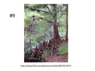 #9




     http://www.flickr.com/photos/riverbk/3947457477/
 