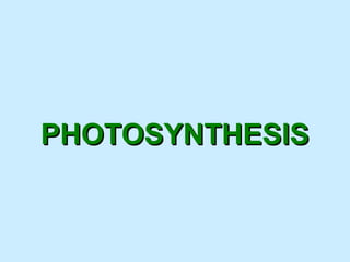 PHOTOSYNTHESIS
 