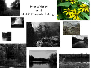 Tyler Whitney
per 1
Unit 2: Elements of design
 