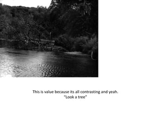 This is value because its all contrasting and yeah.
“Look a tree”
 