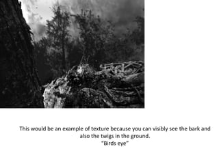 This would be an example of texture because you can visibly see the bark and
also the twigs in the ground.
“Birds eye”
 