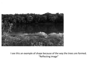 I see this an example of shape because of the way the trees are formed.
“Reflecting image”
 