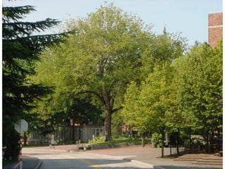 Photo album