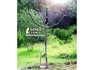 Photo album