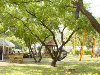 Photo album