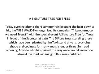 A SIGNATURE TREE FOR TREES
Today evening after a short summer rain brought the heat down a
bit, the TREE WALK-Tvm organized its campaign "Trivandrum, do
we need Trees?" with the special event A Signature Tree for Trees
in front of the Secretariat gate. The 5 Ficus trees standing there
which have been planted by the Taxi stand drivers, providing
shade and coolness for many years is under threat for road
widening.Anyone who has passed this way once would know how
absurd the road widening in this area could be!
5/13/2013
A SIGNATURE TREE FOR TREES -
Secretariat Gate , Trivandrum
Tree Walk , Trivandrum
 