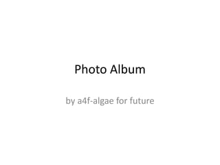 Photo Album
by a4f-algae for future
 