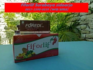 Fiforlif Surabaya sidoarjo
0857-3590-0059 (wa/sms)
 