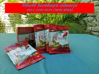 Fiforlif Surabaya sidoarjo
0857-3590-0059 (wa/sms)
 